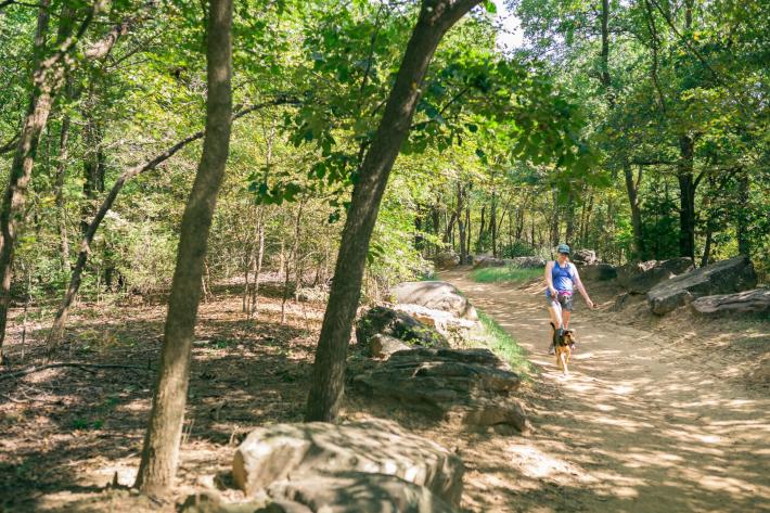 Person walking medium-sized dog on a dirt trail surrounded by trees